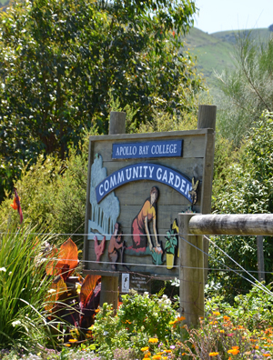 community garden2