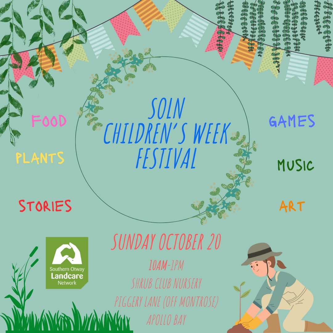 2410 SOLN Childrens Week Festival