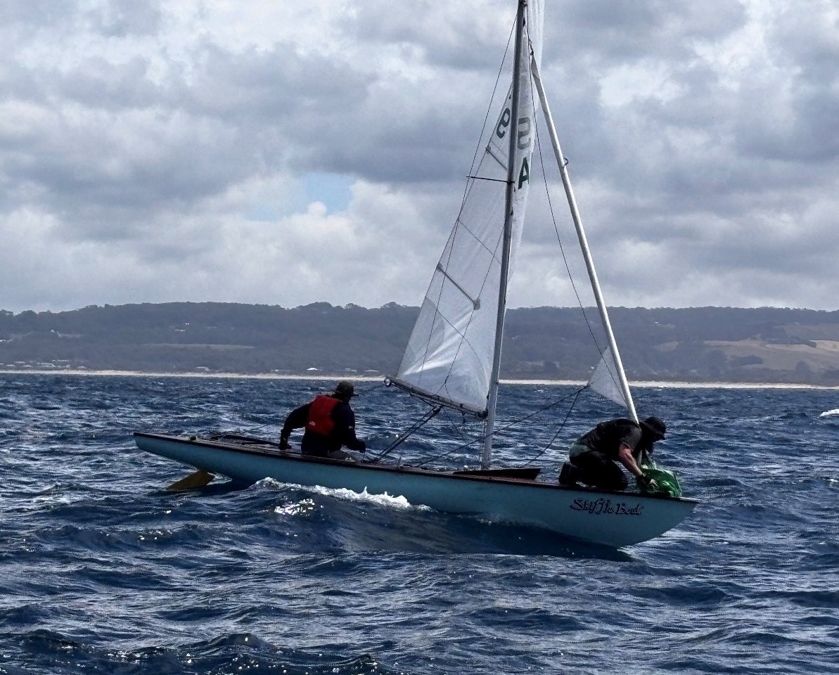20260131 sailing 06
