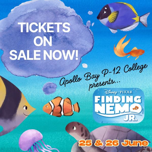 2506 finding nemo jnr